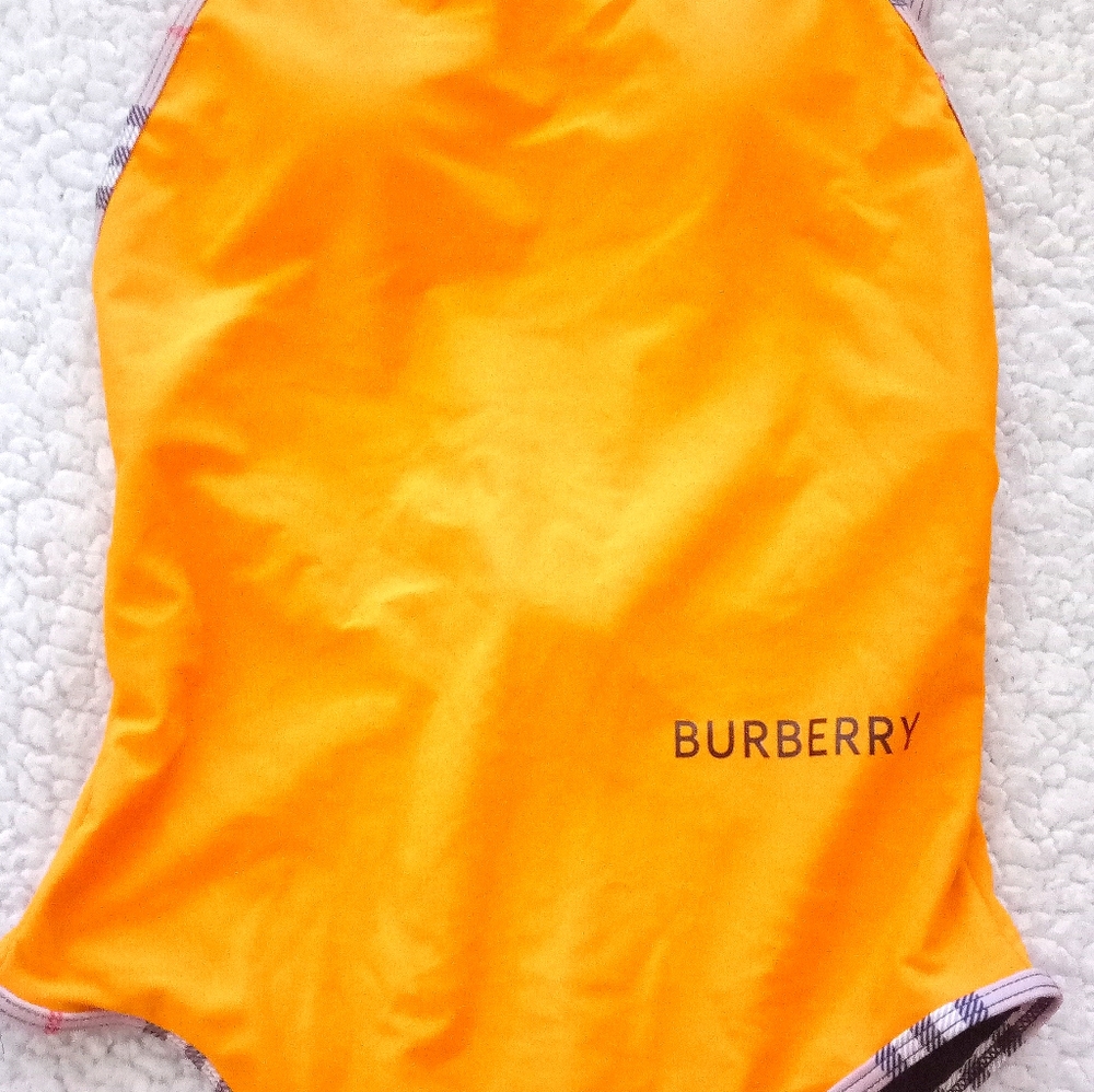 Brand new bathing suit